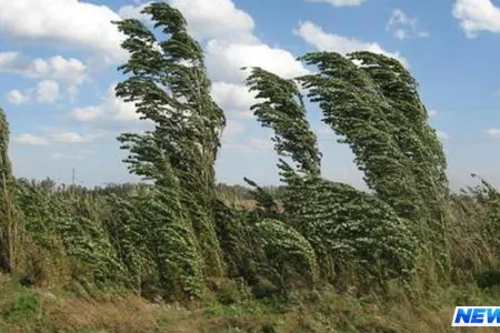 Sabahın HAVA PROQNOZU