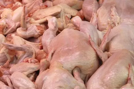 Broyler toyuqları - Yeyək ya yeməyək?