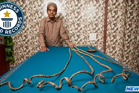 66 il dırnaq uzadan hindli dırnaqlarını kəsib muzeyə verdi - FOTO