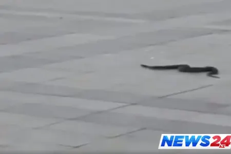 Bakı bulvarında ilan - Rəsmi açıqlama + Video