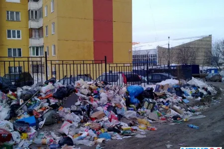 Sosial şəbəkələrdə məşhurlaşmaq üçün zibil torbası yedi