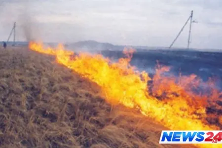 Göyçayda 100 hektar taxıl sahəsi yanıb