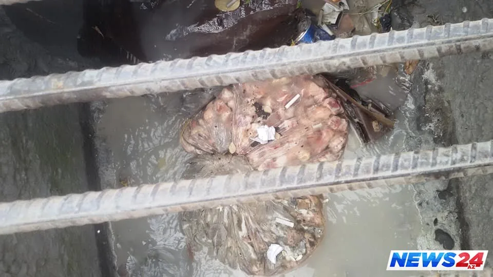 Qədim Şəkinin təzə dərdi – Şəhər rəhbərliyi hara baxır? – VİDEO