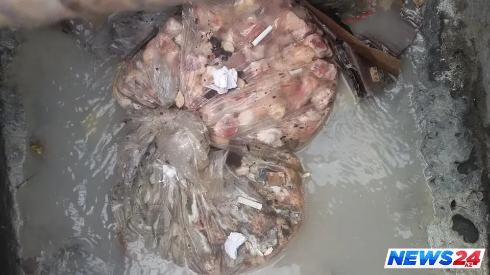 Qədim Şəkinin təzə dərdi – Şəhər rəhbərliyi hara baxır? – VİDEO