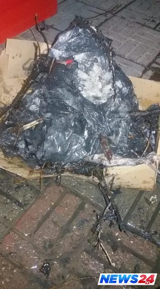 Qədim Şəkinin təzə dərdi – Şəhər rəhbərliyi hara baxır? – VİDEO