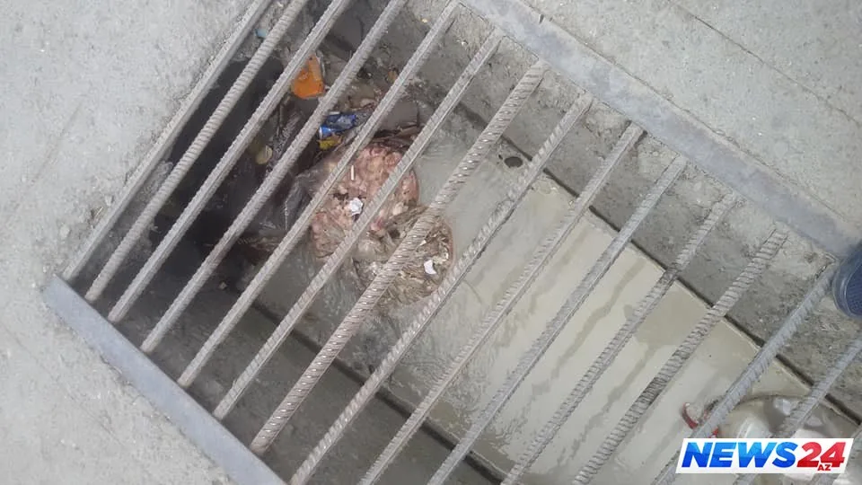 Qədim Şəkinin təzə dərdi – Şəhər rəhbərliyi hara baxır? – VİDEO