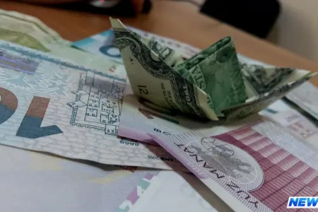 Dollar üzən məzənnəyə keçsə bizi nə gözləyir? - Eksert rəyi