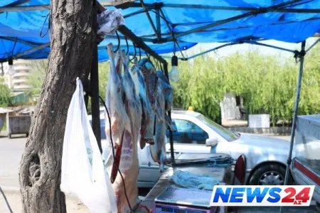 Qanunsuz heyvan kəsimi məntəqələri bağlanır - REYDLƏR BAŞLADI
