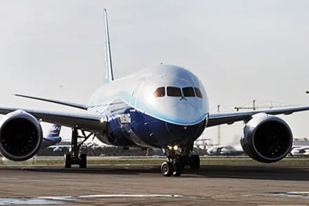 İt təyyarənin təcili enməsinə səbəb oldu