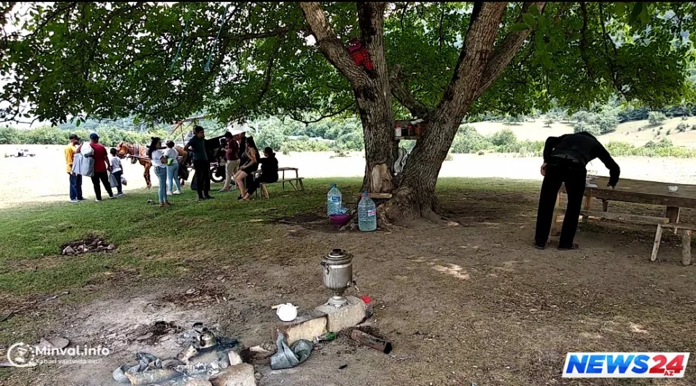 Ərəb turistə hörmətsizlik - Ağac kölgəsi 5 manat - VİDEO