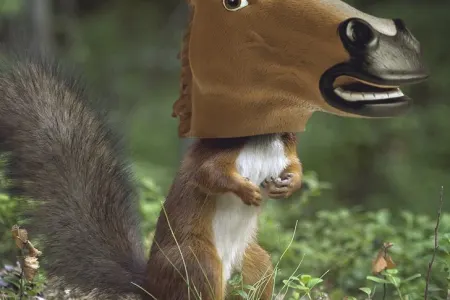 Çimərlik geyimində içalatınız görünsün və ya Tramp ayağınıza düşsün istərdinizmi? - FOTOLAR