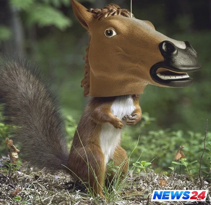 Çimərlik geyimində içalatınız görünsün və ya Tramp ayağınıza düşsün istərdinizmi? - FOTOLAR