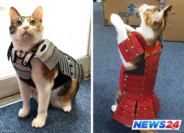 Çimərlik geyimində içalatınız görünsün və ya Tramp ayağınıza düşsün istərdinizmi? - FOTOLAR