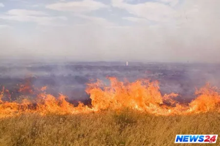 Nazirlik müraciət yaydı