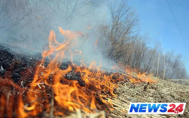 Nazirlik müraciət yaydı