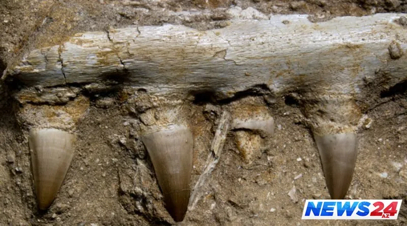 Antarktikaya aid 9 sirli tapıntı - Qanlı göl, yadplanetli kəllələri... - FOTOLAR