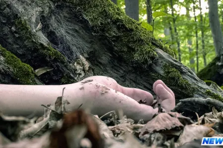 İtkin düşən çobanın meyiti tapıldı