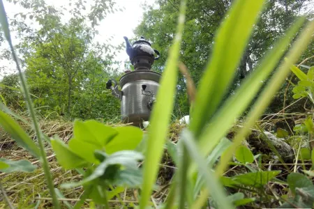 Ağac kölgəsini 5 manata ərəbə satan gənc DANIŞDI - VİDEO