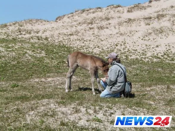 Həyatının 40 ilini kimsəsiz adada keçirən qadın - FOTO
