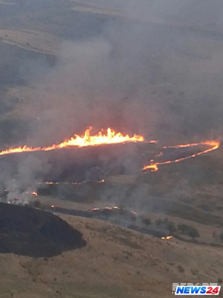 Siyəzəndə başlayan yanğın qonşu rayonlara keçdi - Heyvanlar və quşlar tələf oldu - Fotolar
