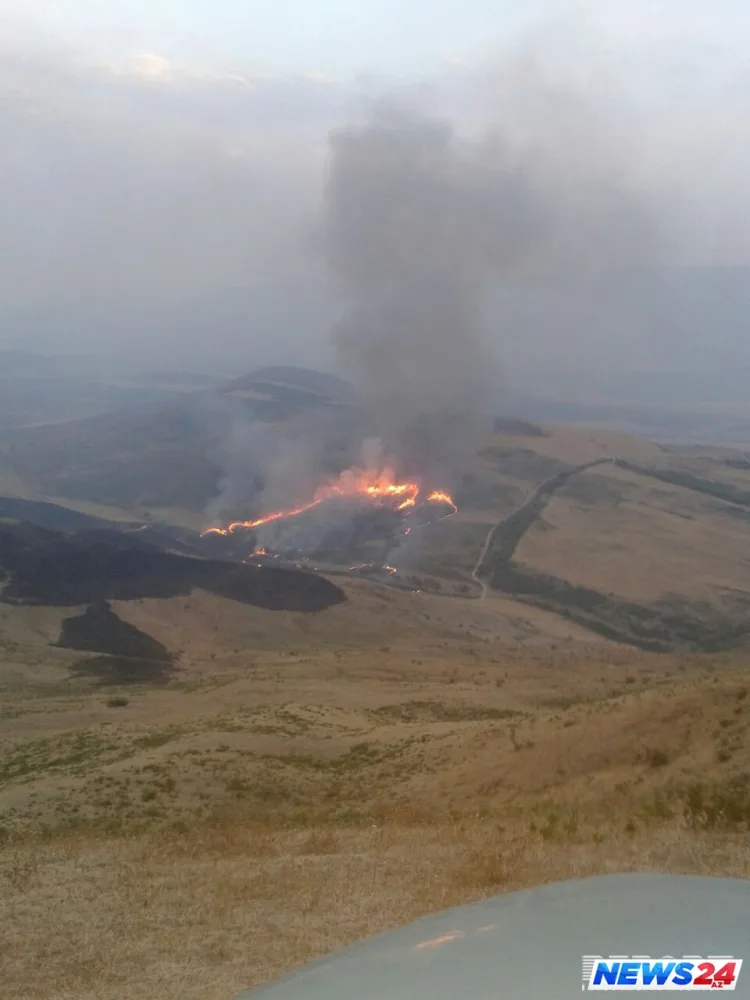 Siyəzəndə başlayan yanğın qonşu rayonlara keçdi - Heyvanlar və quşlar tələf oldu - Fotolar