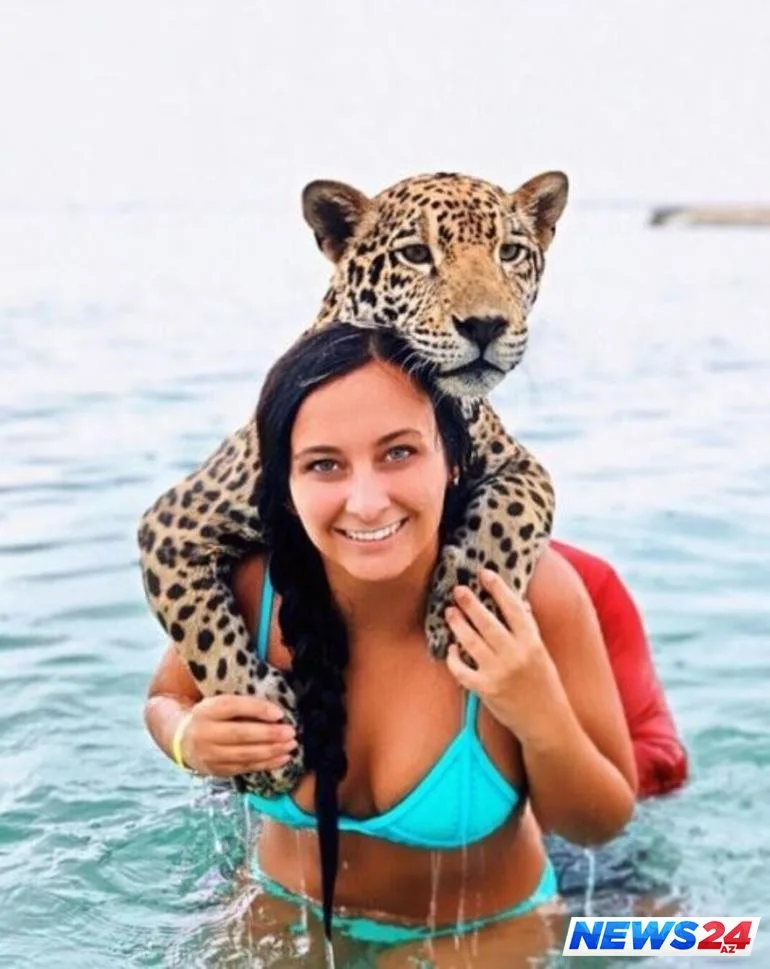 Bu ölkədə vəhşi heyvanlarla çimmək 40 aurodur - FOTOLAR