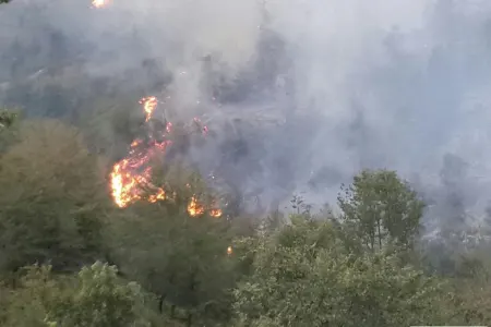 Lerikdə meşə yanır