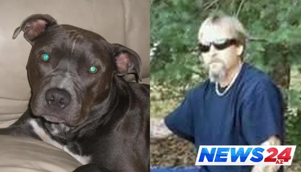 İt sahibinin ayaqlarını yaladı, sahibi ayaqsız qaldı - FOTOLAR