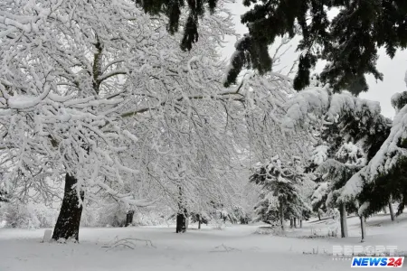 Möcüzə! Yayın ortasında görün hara QAR yağdı - VİDEO