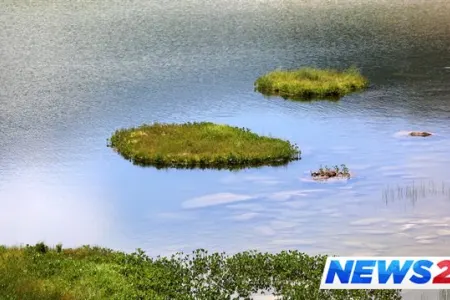 Rizəlilərin çox maraqlı hava proqnozu metodu