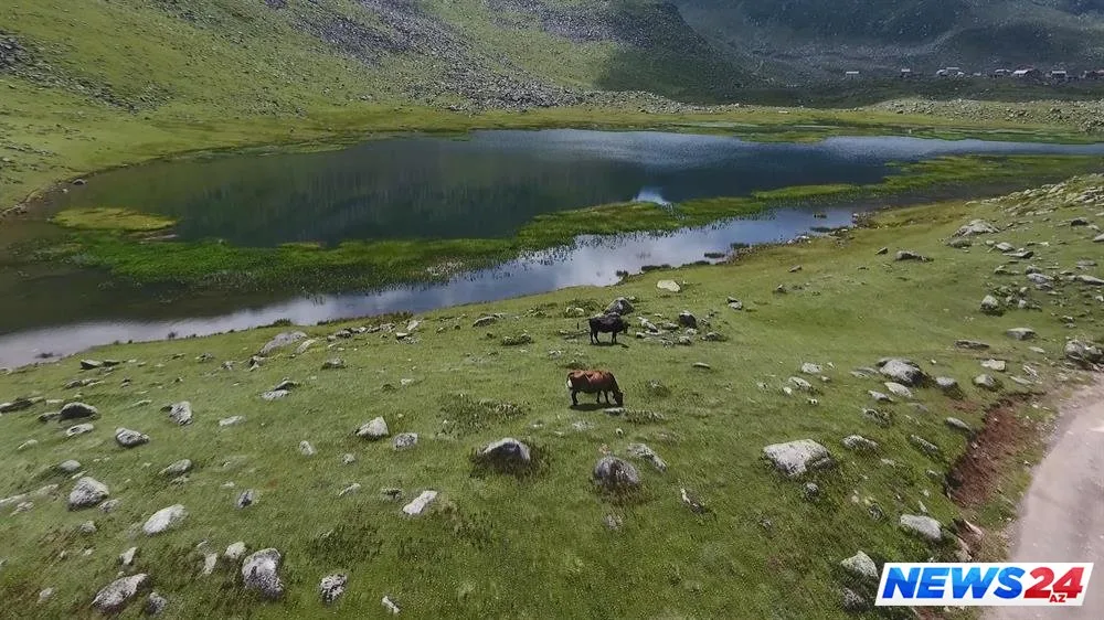 Rizəlilərin çox maraqlı hava proqnozu metodu