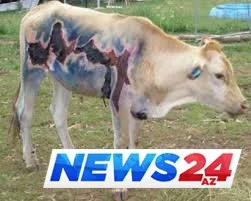 İldırımın izləri - Çox maraqlı FOTOLAR