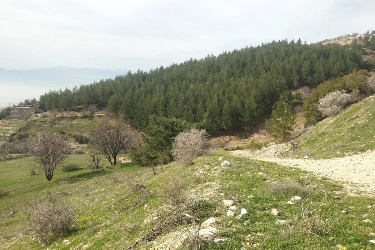 Azərbaycanda biabırçı olay: Yamaca çıxmaq istəyən ərəbdən pul tələb etdilər – FOTO