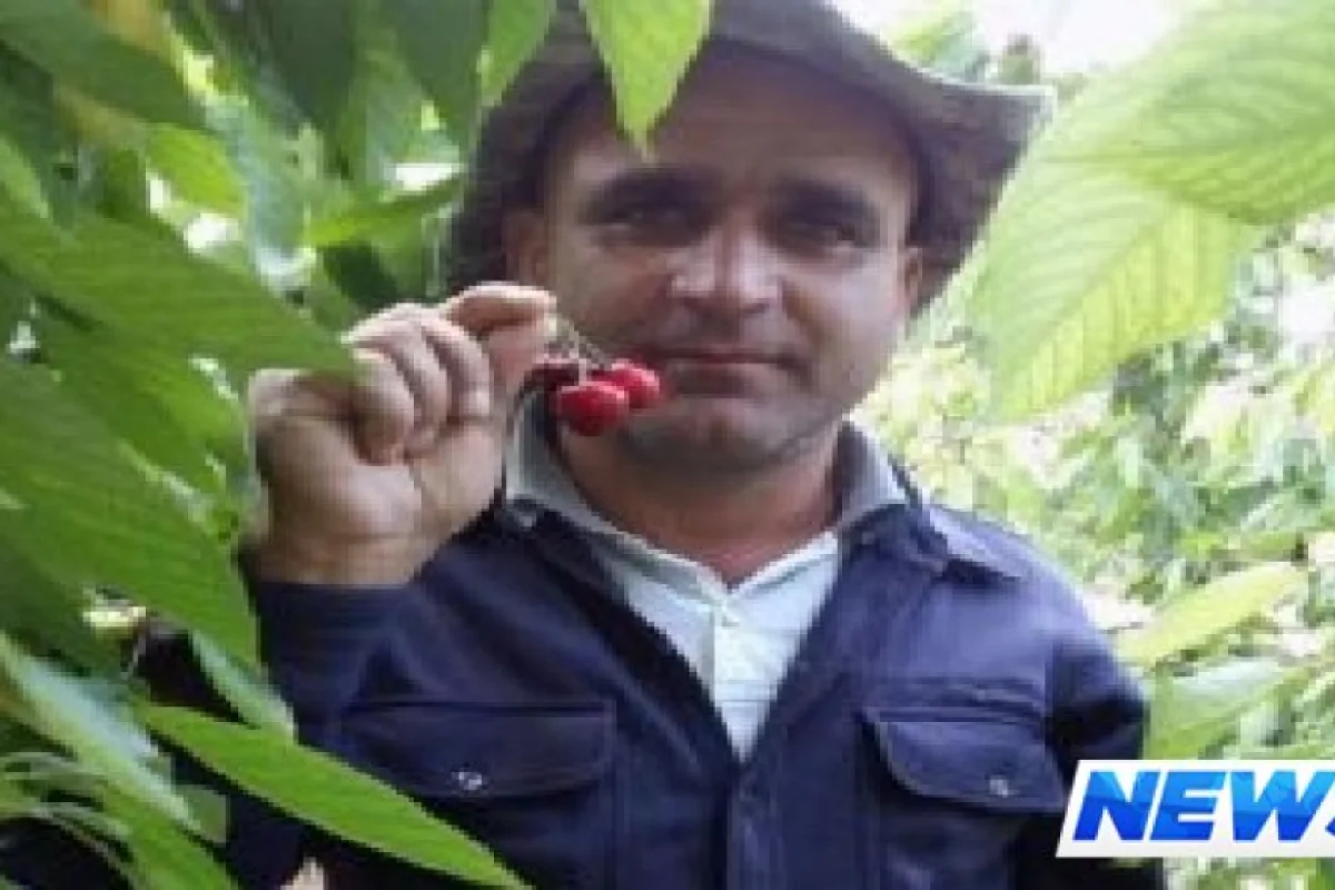 Türkiyəyə fəhləliyə getdi, quduzluqdan öldü – Fotolar