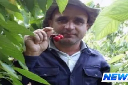 Türkiyəyə fəhləliyə getdi, quduzluqdan öldü – Fotolar