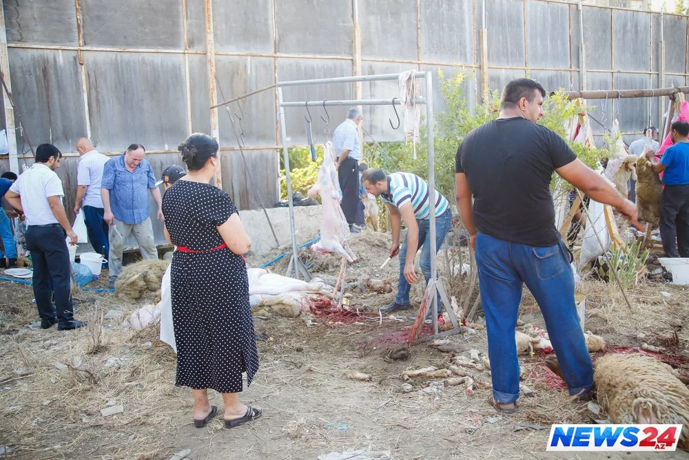 Paytaxtda Qurban bayramı həyəcanı - FOTOLAR - VİDEO