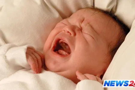 Daha çox bu rayonlarda nikahdankənar doğuşlar olur - SİYAHI