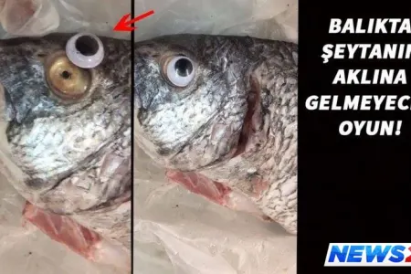 Balıq satan kişidən əcaib və məzəli fırıldaq