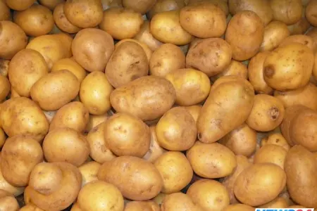 Nazirlikdən kartofun qiymətinin bahalaşması xəbəri ilə bağlı açıqlama -VİDEO