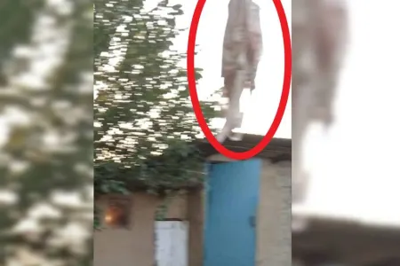 İnsanlar vahimədə - Kəndi dəhşətə gətirən naməlum məxluq yenidən peyda oldu - Özəl VİDEO