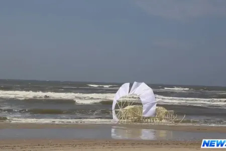 Bu rəssam özüyeriyən qəribə varlıqlar yaradır - VİDEO