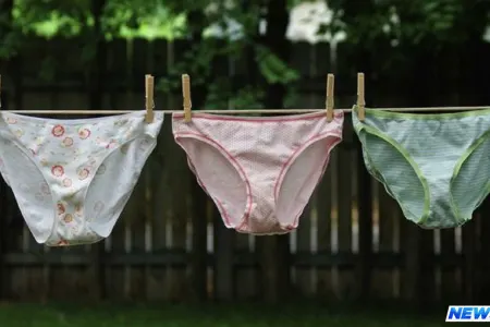 İsmayıllıda qadınları vahimə içində saxlayan manyak ələ keçdi