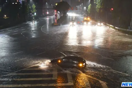 ABŞ-da qasırğa zamanı mağazaları talan edən şəxslər həbs olunub