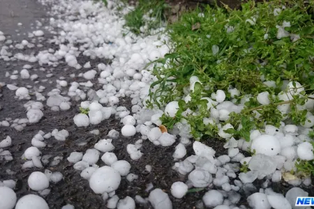 Zaqatalaya dolu yağıb