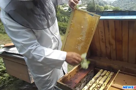 Dövlət hər arı ailəsinə görə vətəndaşa neçə manat ödəyəcək?