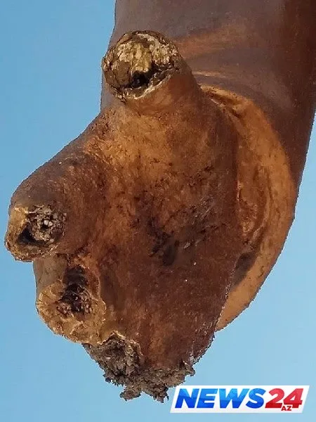 Nizami Gəncəvinin heykəlinə hörmətsizlik