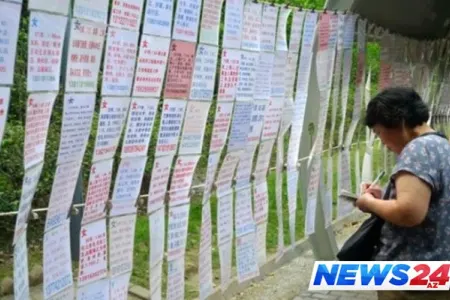 Yaşlarını və maaşlarını ağaca asıb ər axtarırlar – Fotolar