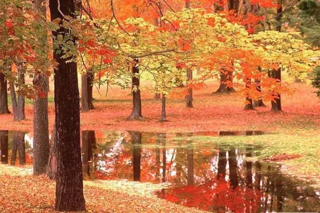 Bu gecə payız gəlir