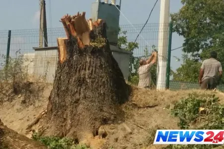 Güclü yağış işıqları söndürdü - “Azərişıq” hərəkətə keçdi