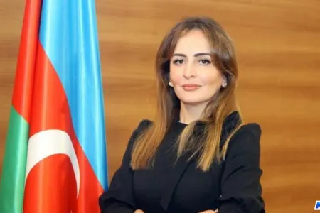 Nigar Məmmədovaya yüksək vəzifə verildi
